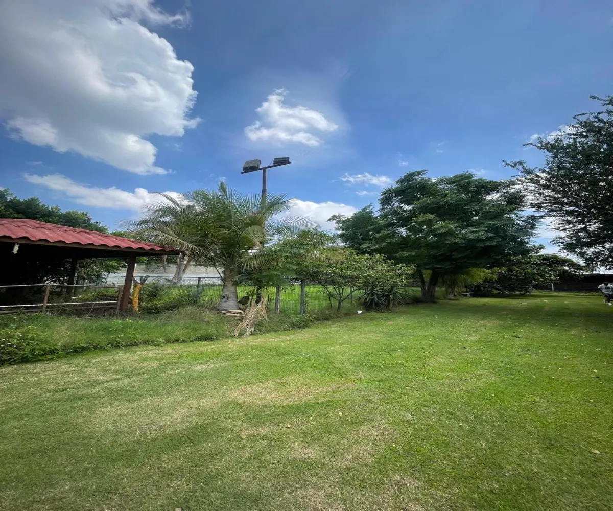 Terreno En Renta,Santa María Tequepexpan,Pinar 88, San Pedro Tlaquepaque, Jalisco 45601,Pinar,1,665190