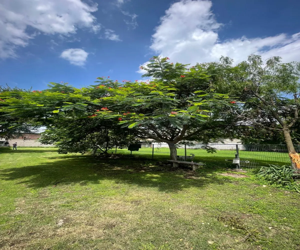 Terreno En Renta,Santa María Tequepexpan,Pinar 88, San Pedro Tlaquepaque, Jalisco 45601,Pinar,1,665190