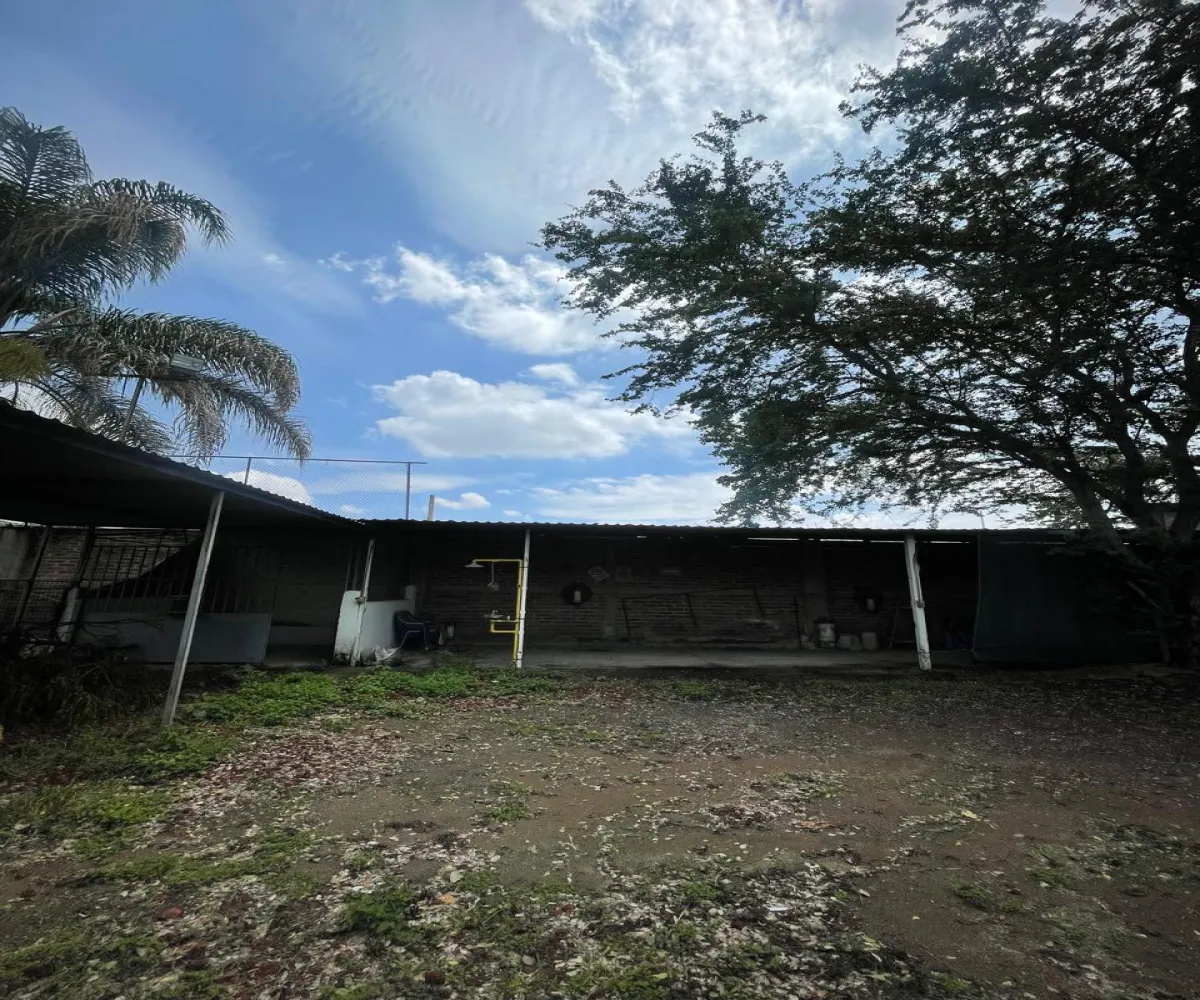 Terreno En Renta,Santa María Tequepexpan,Pinar 88, San Pedro Tlaquepaque, Jalisco 45601,Pinar,1,665190