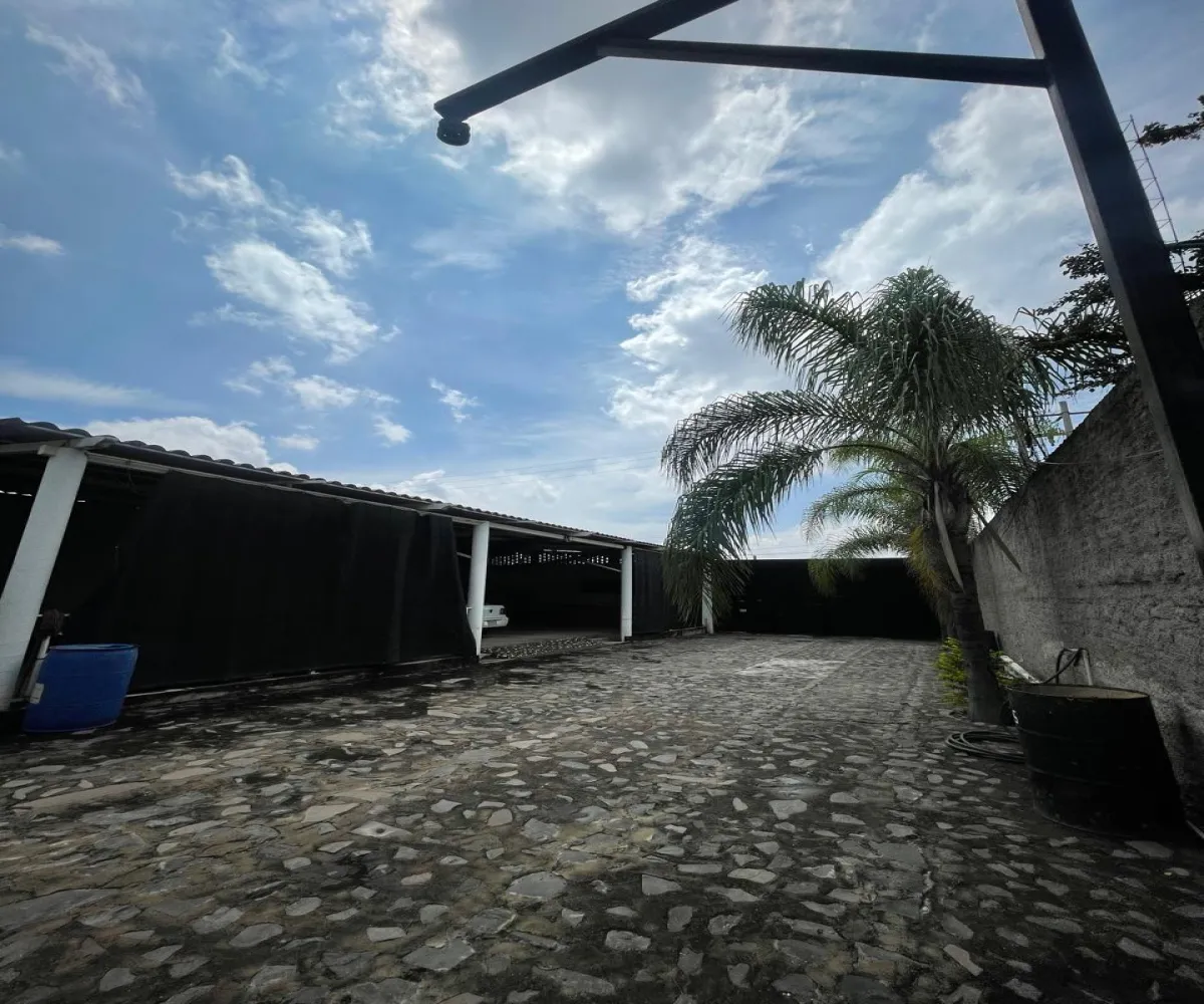 Terreno En Renta,Santa María Tequepexpan,Pinar 88, San Pedro Tlaquepaque, Jalisco 45601,Pinar,1,665190