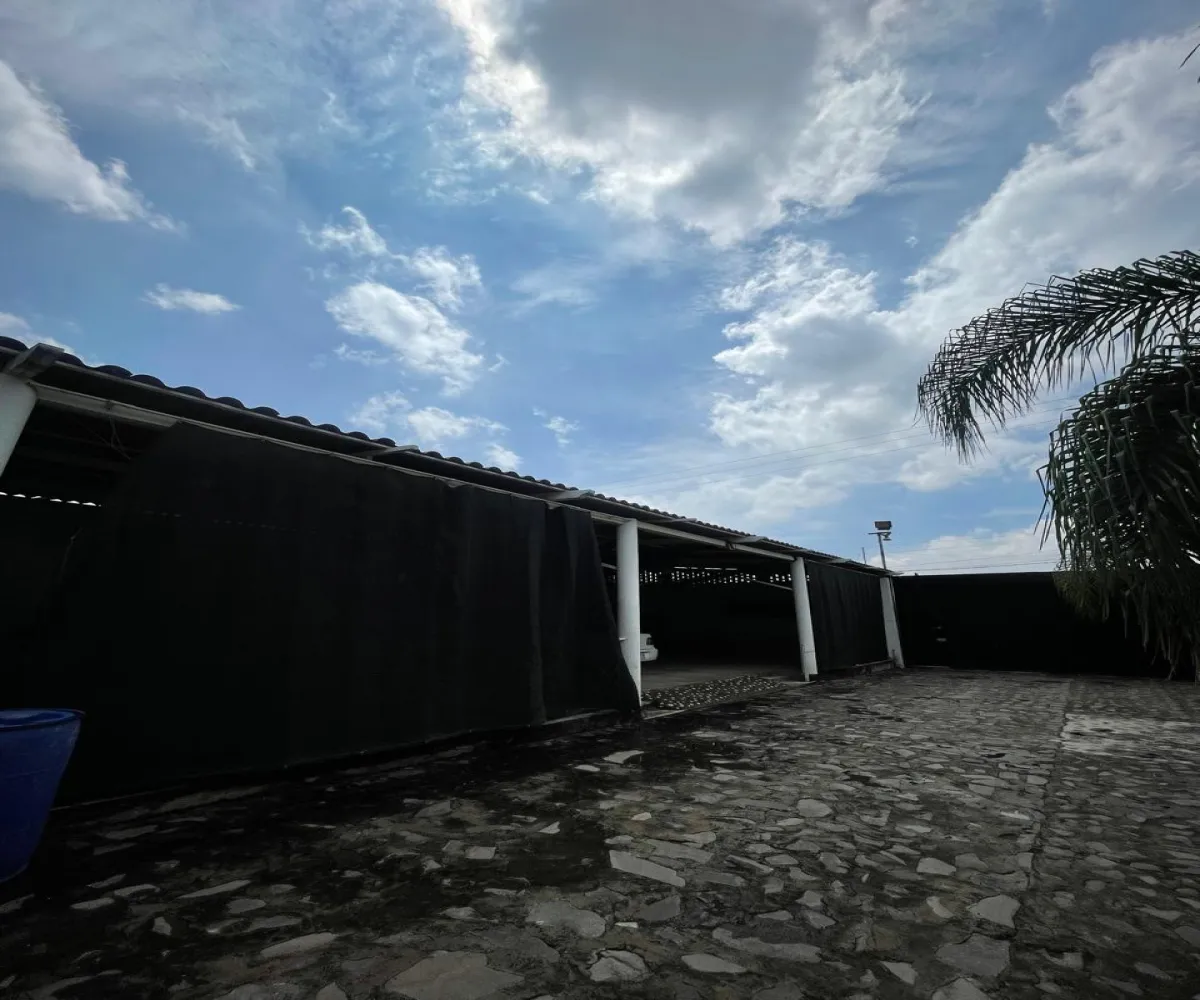 Terreno En Renta,Santa María Tequepexpan,Pinar 88, San Pedro Tlaquepaque, Jalisco 45601,Pinar,1,665190