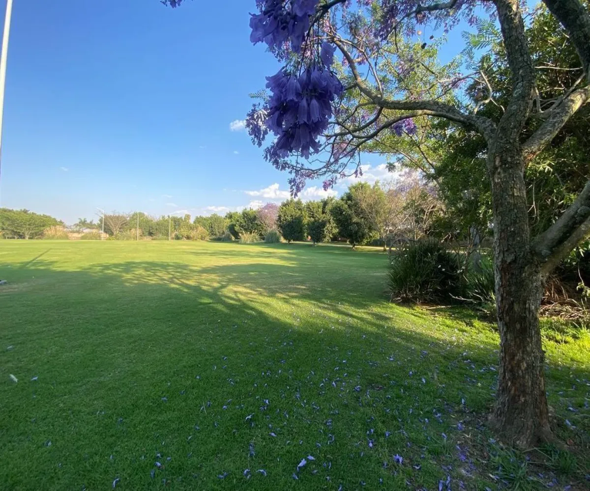 Terreno En Venta,La Venta Del Astillero,Carretera la venta Nextipac 1726, Zapopan, Jalisco 45019, 2 Habitaciones,2 Baños,Carretera la venta Nextipac,1,p9hxqrY Terreno En Venta,La Venta Del Astillero,Carretera la venta Nextipac 1726, Zapopan, Jalisco 45019, 2 Habitaciones,2 Baños,Carretera la venta Nextipac,1,p9hxqrY