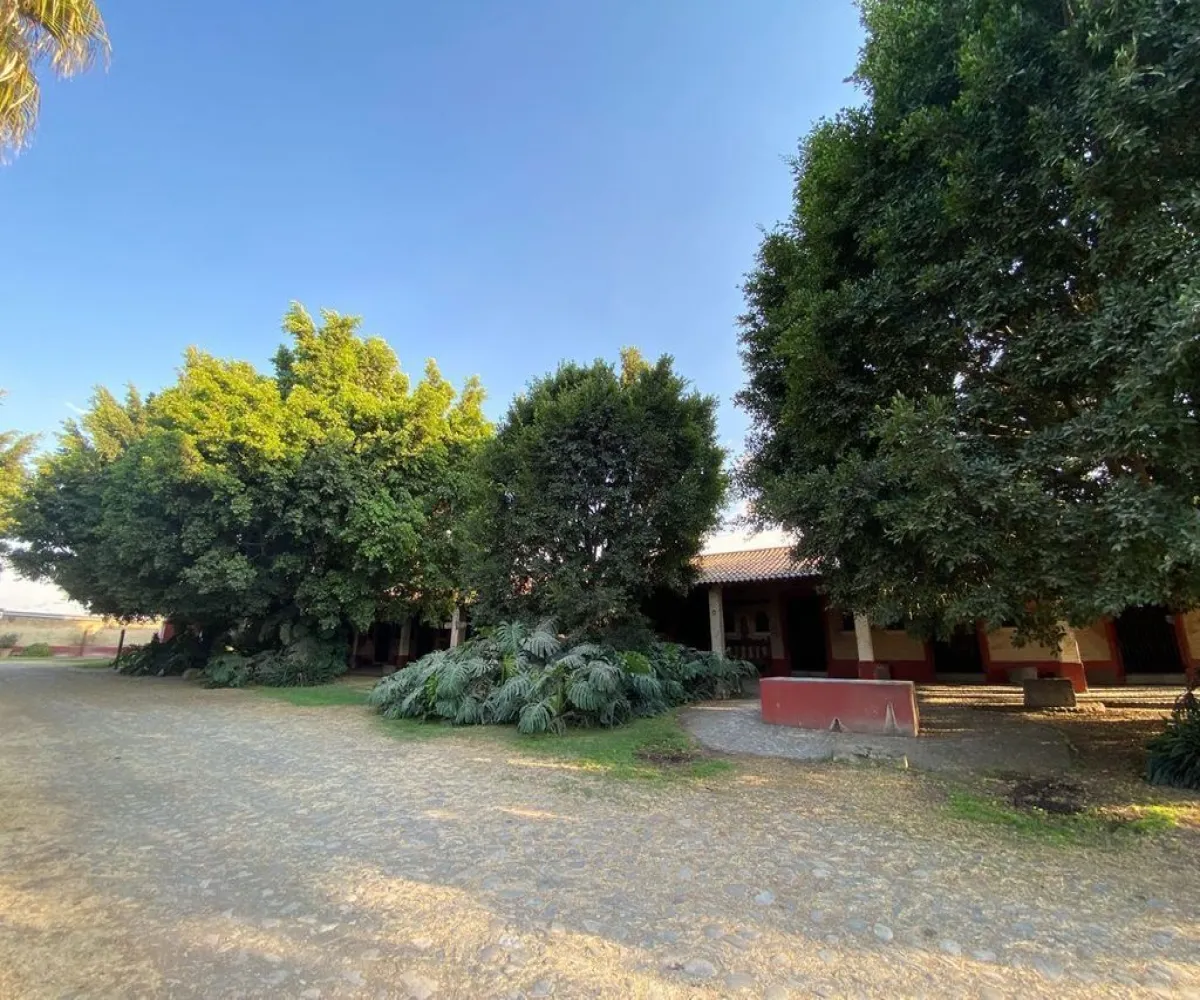 Terreno En Venta,La Venta Del Astillero,Carretera la venta Nextipac 1726, Zapopan, Jalisco 45019, 2 Habitaciones,2 Baños,Carretera la venta Nextipac,1,p9hxqrY Terreno En Venta,La Venta Del Astillero,Carretera la venta Nextipac 1726, Zapopan, Jalisco 45019, 2 Habitaciones,2 Baños,Carretera la venta Nextipac,1,p9hxqrY