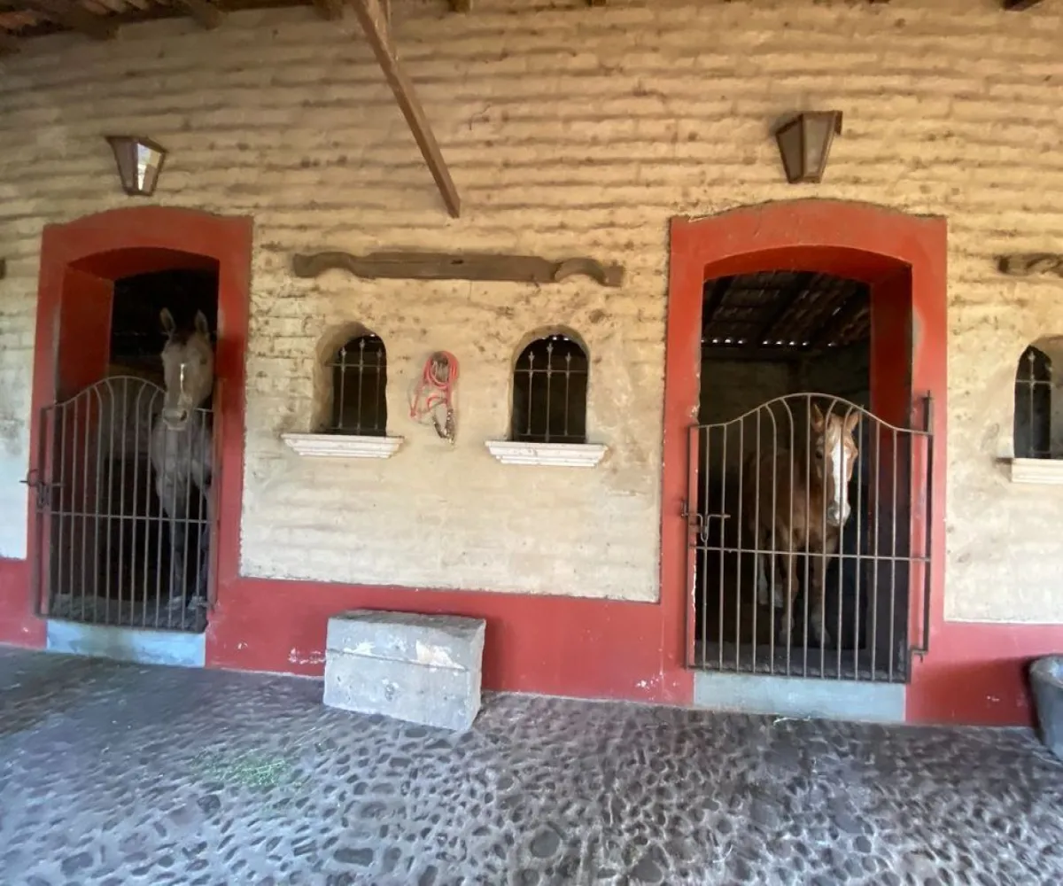 Terreno En Venta,La Venta Del Astillero,Carretera la venta Nextipac 1726, Zapopan, Jalisco 45019, 2 Habitaciones,2 Baños,Carretera la venta Nextipac,1,p9hxqrY Terreno En Venta,La Venta Del Astillero,Carretera la venta Nextipac 1726, Zapopan, Jalisco 45019, 2 Habitaciones,2 Baños,Carretera la venta Nextipac,1,p9hxqrY