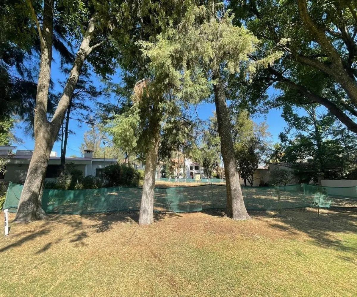 Terreno En Venta,Rancho Contento,Paseo de las Bugambilias 109, Zapopan, Jalisco 45222,Paseo de las Bugambilias,peDBSMr