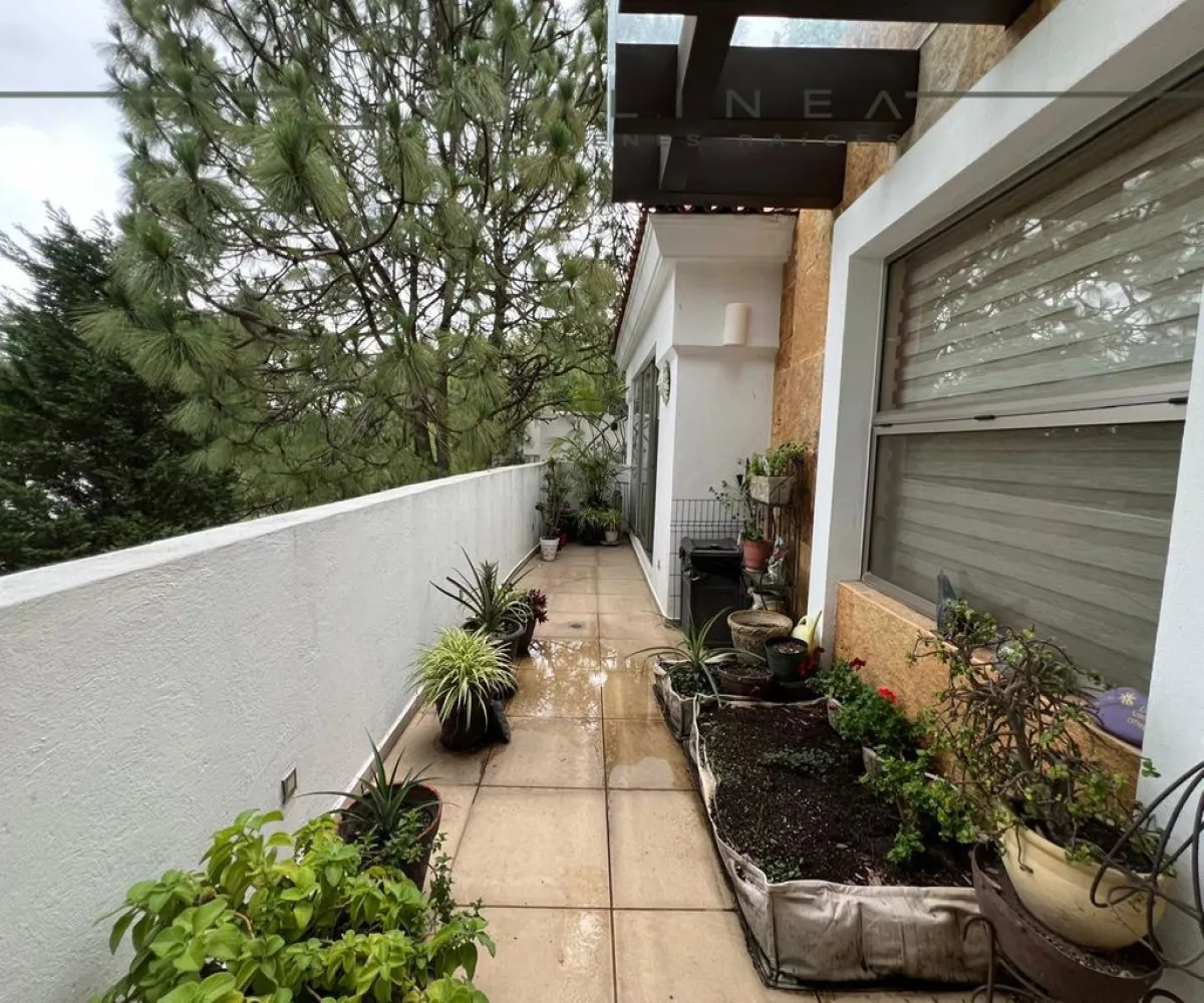 Casa En Venta,El Palomar,CALLEJON DEL ROCIO S/N CASA F, Tlajomulco de Zúñiga, Jalisco 45643, 4 Habitaciones,4 Baños,CALLEJON DEL ROCIO ,2,pQhgaoN Casa En Venta,El Palomar,CALLEJON DEL ROCIO S/N CASA F, Tlajomulco de Zúñiga, Jalisco 45643, 4 Habitaciones,4 Baños,CALLEJON DEL ROCIO ,2,pQhgaoN