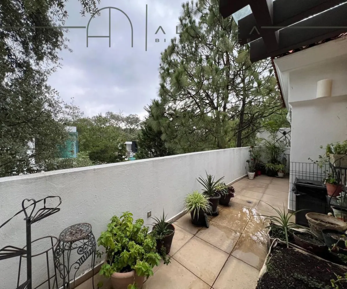 Casa En Venta,El Palomar,CALLEJON DEL ROCIO S/N CASA F, Tlajomulco de Zúñiga, Jalisco 45643, 4 Habitaciones,4 Baños,CALLEJON DEL ROCIO ,2,pQhgaoN Casa En Venta,El Palomar,CALLEJON DEL ROCIO S/N CASA F, Tlajomulco de Zúñiga, Jalisco 45643, 4 Habitaciones,4 Baños,CALLEJON DEL ROCIO ,2,pQhgaoN