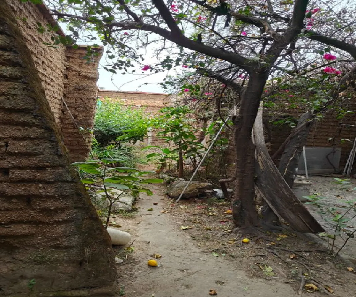 Casa En Venta,Magaña,José María La Fragua 185, Guadalajara, Jalisco 44800, 1 Cuarto,1 Baño,José María La Fragua,1,pkY2Ygc