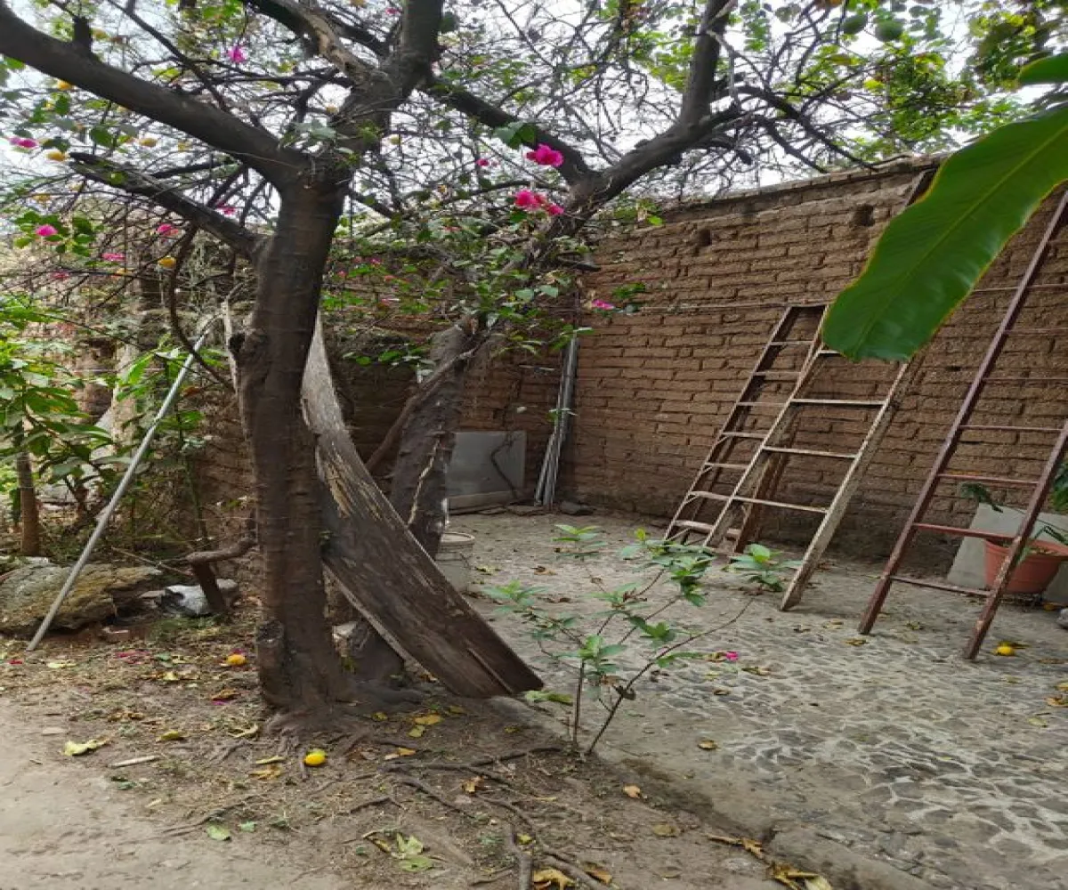 Casa En Venta,Magaña,José María La Fragua 185, Guadalajara, Jalisco 44800, 1 Cuarto,1 Baño,José María La Fragua,1,pkY2Ygc