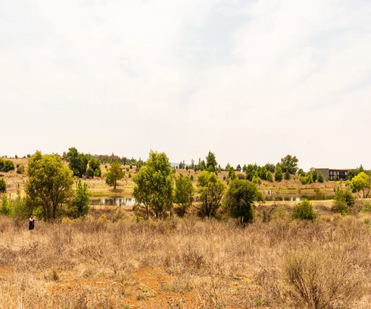 Terreno En Venta,Los Espinos,Los Reflejos S/N, Tapalpa, Jalisco 49346,Los Reflejos,pgvmkLF