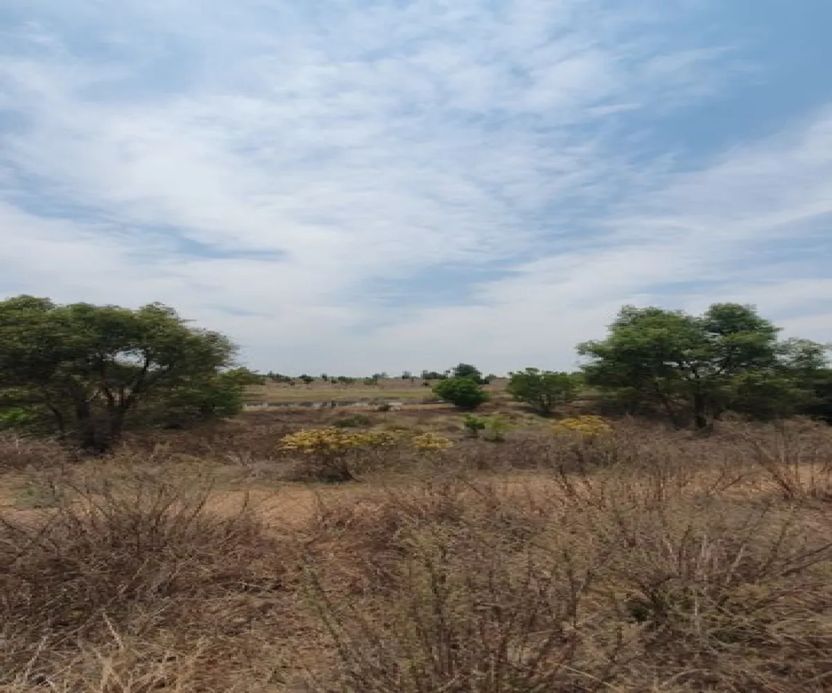 Terreno En Venta,Los Espinos,Los Reflejos S/N, Tapalpa, Jalisco 49346,Los Reflejos,pgvmkLF