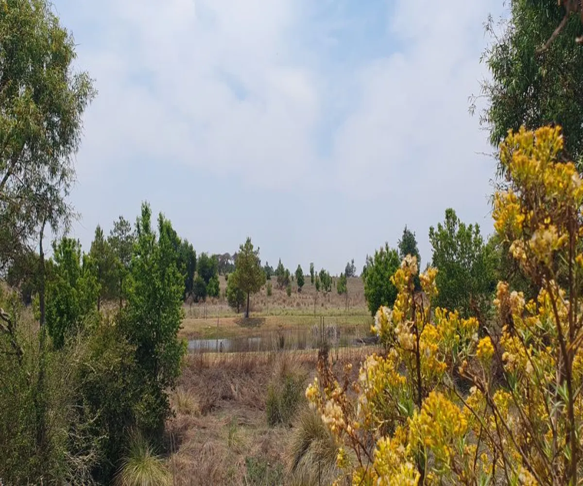 Terreno En Venta,Los Espinos,Los Reflejos S/N, Tapalpa, Jalisco 49346,Los Reflejos,pgvmkLF