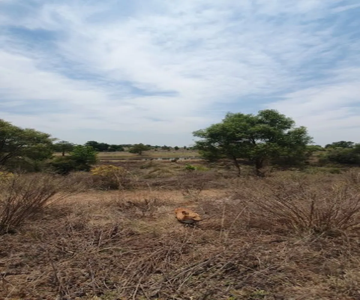 Terreno En Venta,Los Espinos,Los Reflejos S/N, Tapalpa, Jalisco 49346,Los Reflejos,pgvmkLF