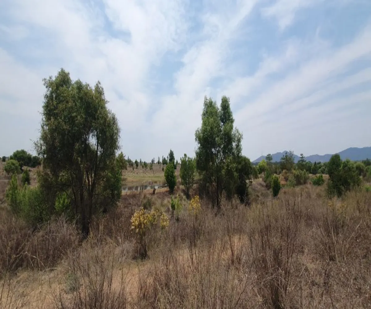 Terreno En Venta,Los Espinos,Los Reflejos S/N, Tapalpa, Jalisco 49346,Los Reflejos,pgvmkLF