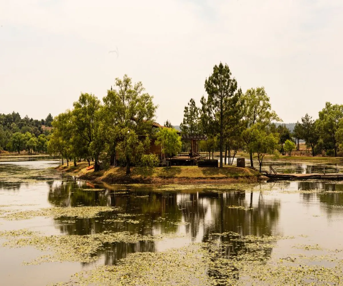 Terreno En Venta,Los Espinos,Los Reflejos S/N, Tapalpa, Jalisco 49346,Los Reflejos,pgvmkLF