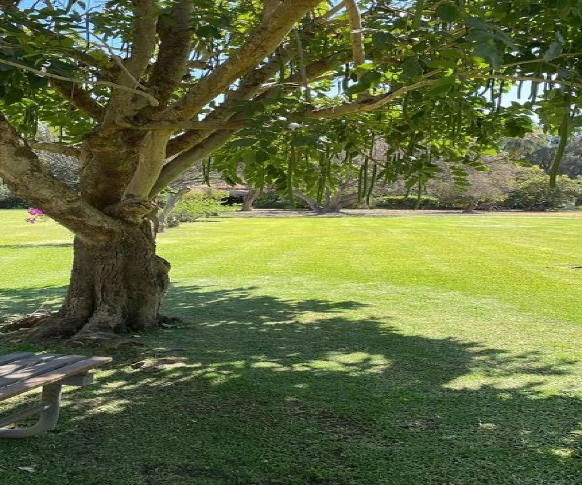 Terreno En Venta,San Agustín,Autopista Guadalara-Colima 20 2249, Tlajomulco de Zúñiga, Jalisco 45640,Autopista Guadalara-Colima,phgTW7s