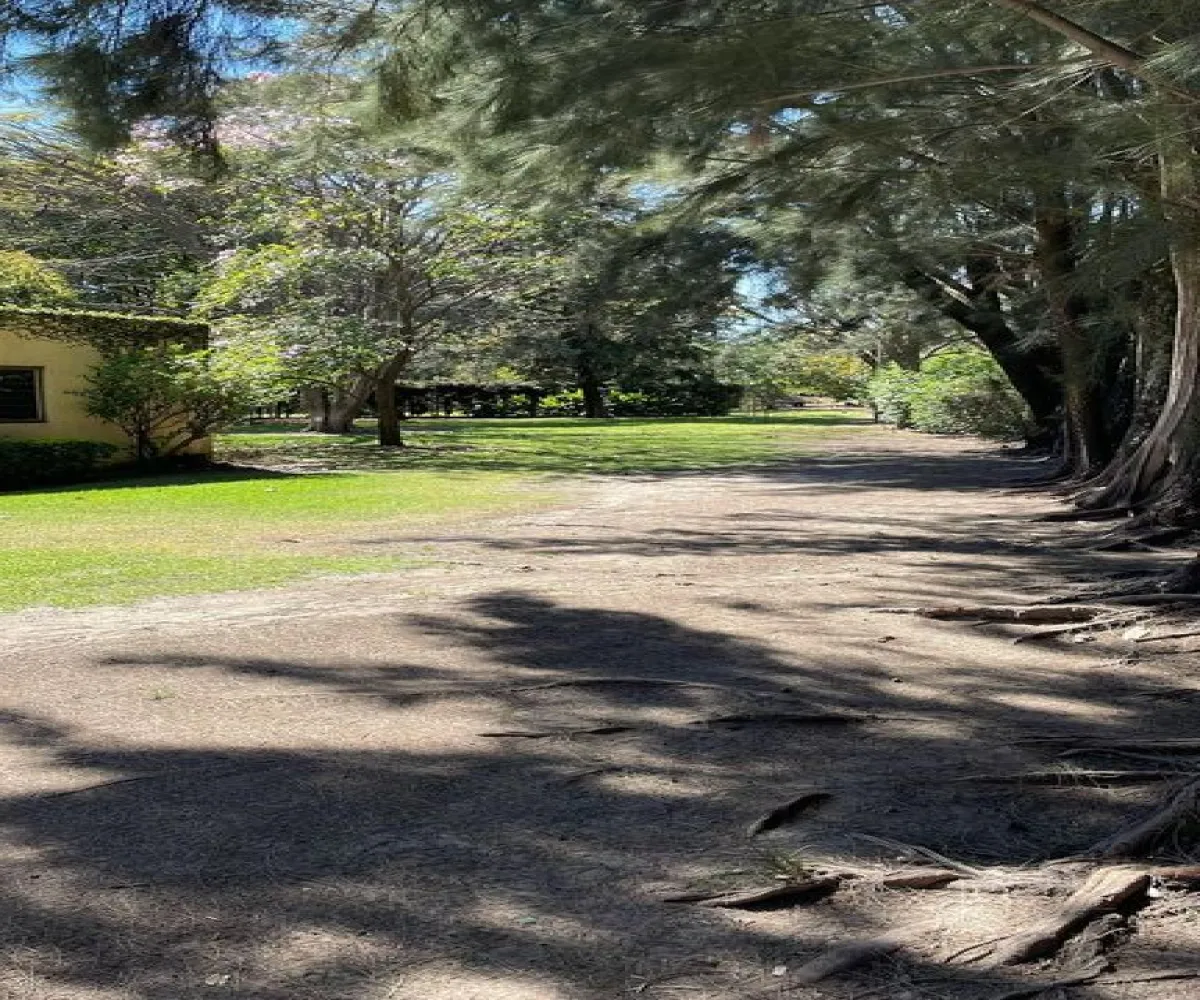 Terreno En Venta,San Agustín,Autopista Guadalara-Colima 20 2249, Tlajomulco de Zúñiga, Jalisco 45640,Autopista Guadalara-Colima,phgTW7s