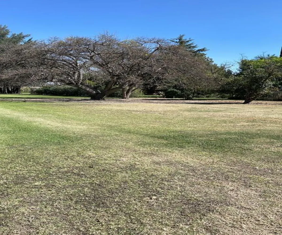 Terreno En Venta,San Agustín,Autopista Guadalara-Colima 20 2249, Tlajomulco de Zúñiga, Jalisco 45640,Autopista Guadalara-Colima,phgTW7s