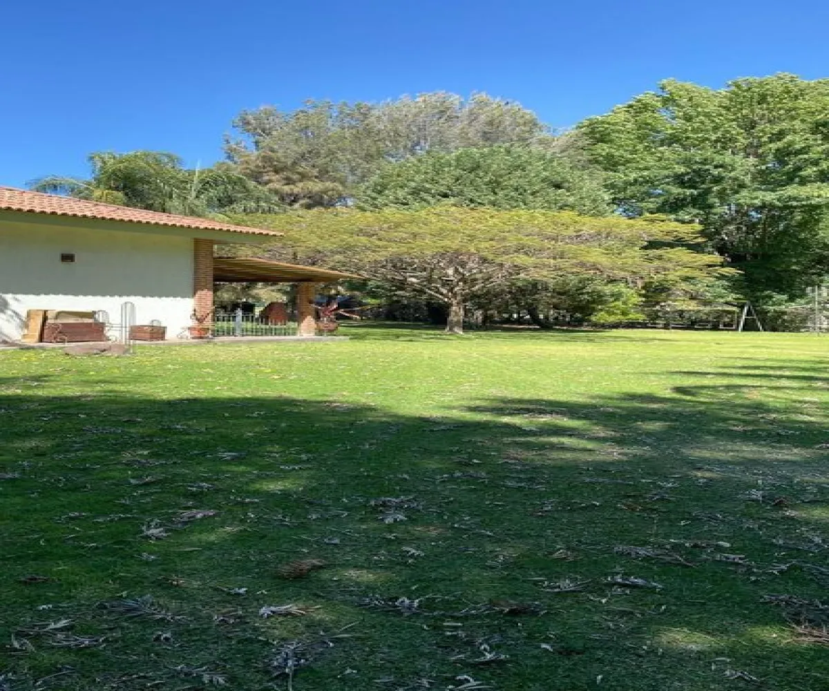 Terreno En Venta,San Agustín,Autopista Guadalara-Colima 20 2249, Tlajomulco de Zúñiga, Jalisco 45640,Autopista Guadalara-Colima,phgTW7s