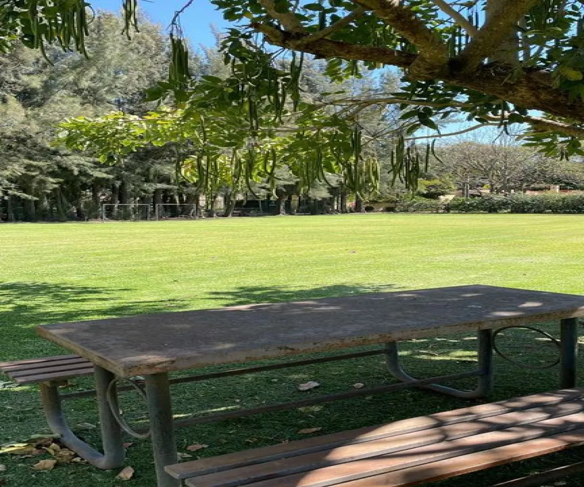 Terreno En Venta,San Agustín,Autopista Guadalara-Colima 20 2249, Tlajomulco de Zúñiga, Jalisco 45640,Autopista Guadalara-Colima,phgTW7s