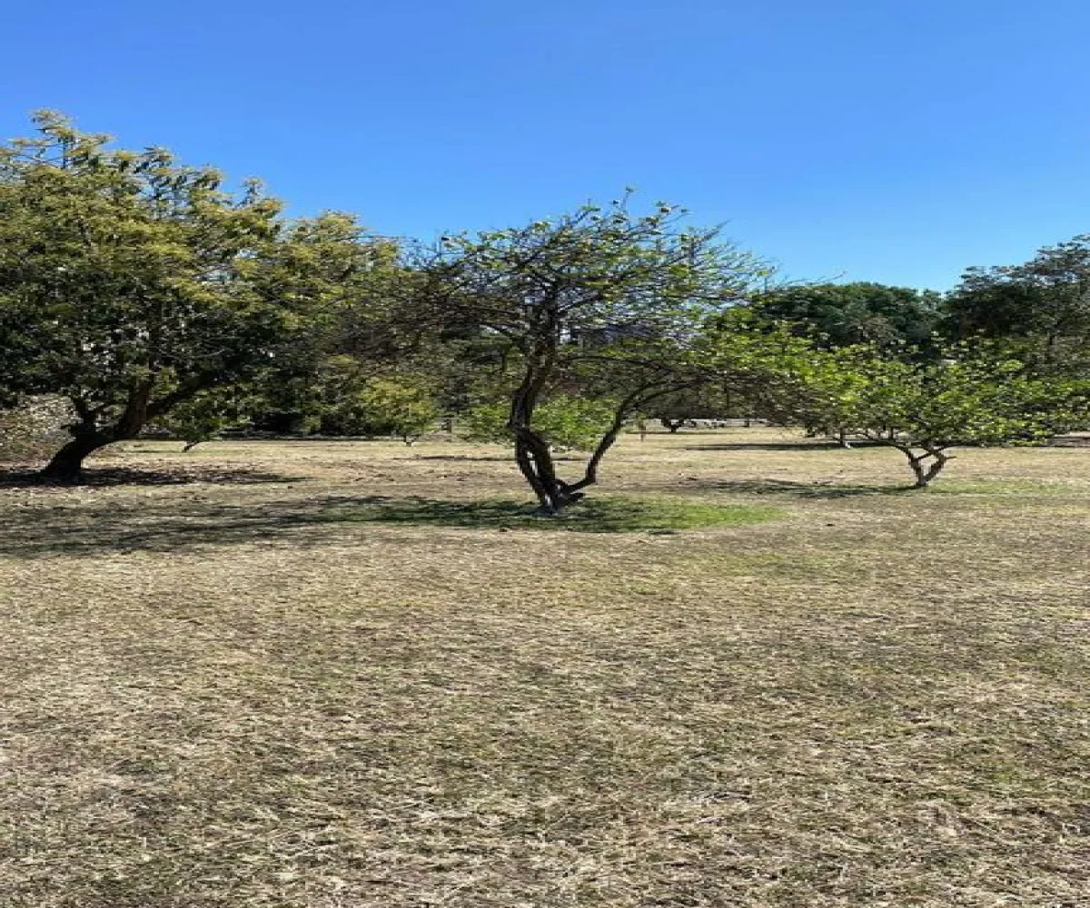 Terreno En Venta,San Agustín,Autopista Guadalara-Colima 20 2249, Tlajomulco de Zúñiga, Jalisco 45640,Autopista Guadalara-Colima,phgTW7s