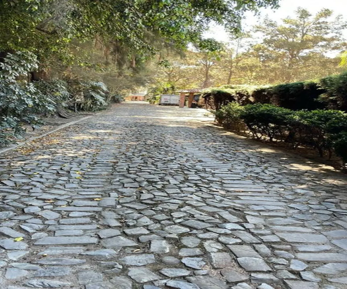 Terreno En Venta,San Agustín,Autopista Guadalara-Colima 20 2249, Tlajomulco de Zúñiga, Jalisco 45640,Autopista Guadalara-Colima,phgTW7s