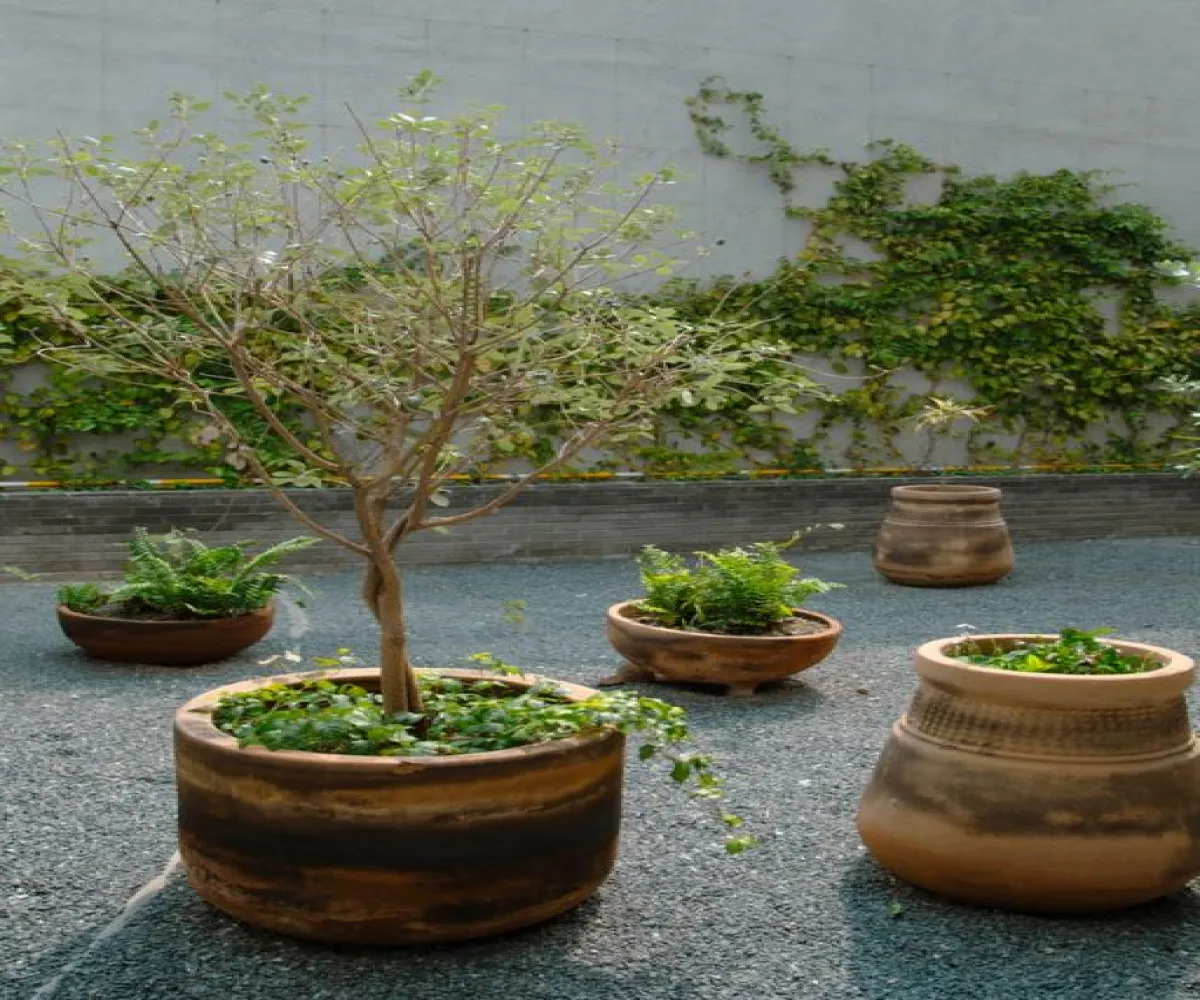 Departamento En Venta,Ciudad Granja,Calzada Circunvalación Poniente 781, Zapopan, Jalisco 45010, 2 Habitaciones,2 Baños,Calzada Circunvalación Poniente,1,pmtsOlJ