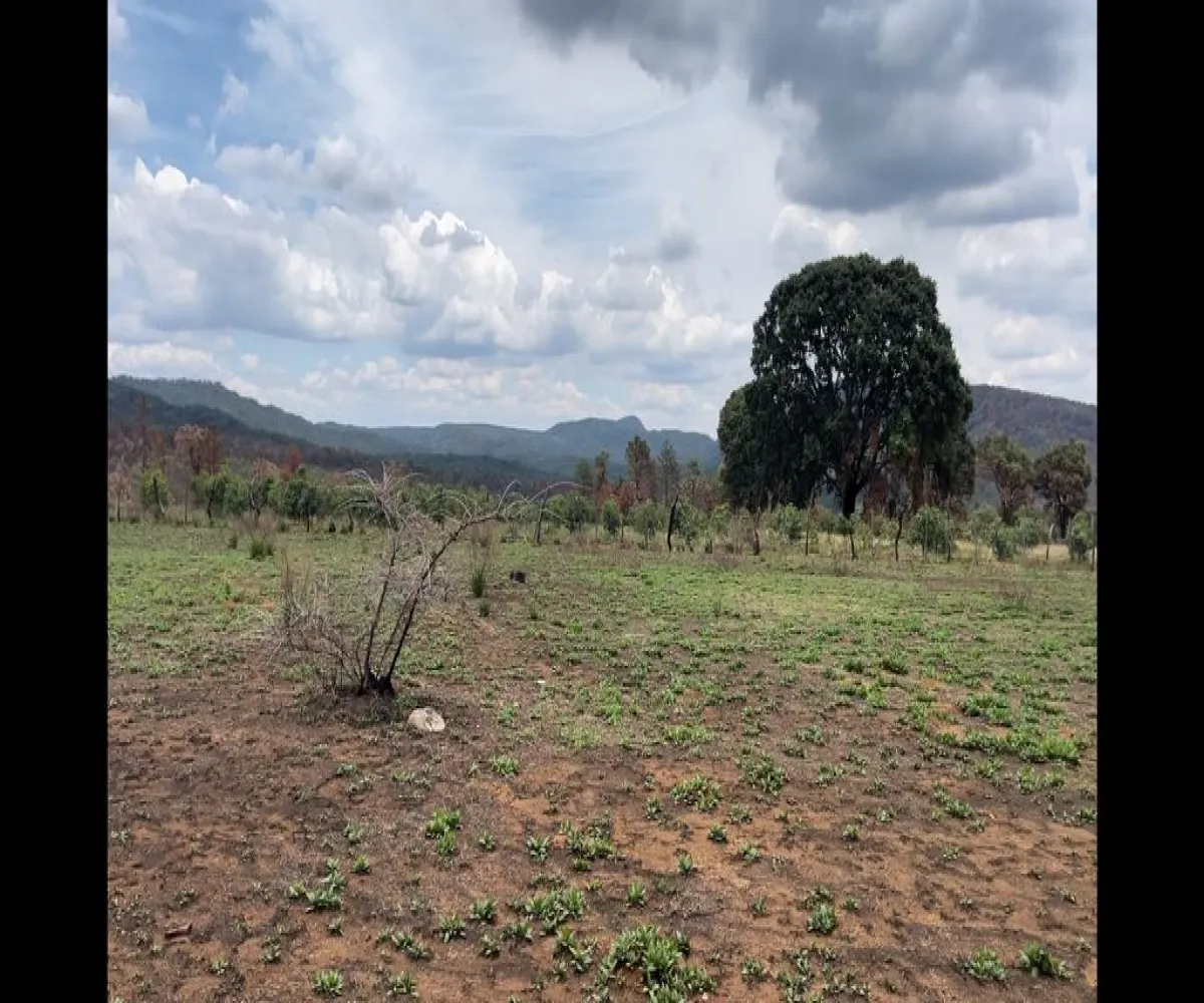 Terreno En Venta,Atenguillo,Carretera 533 31, Atenguillo, Jalisco 48100,Carretera 533 ,1,pQBLFRm