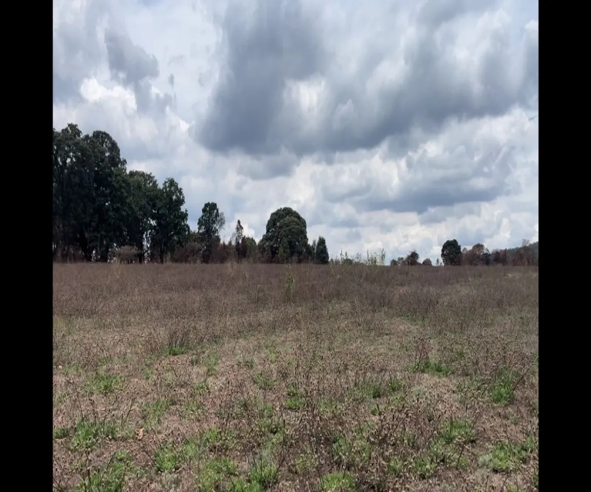 Terreno En Venta,Atenguillo,Carretera 533 31, Atenguillo, Jalisco 48100,Carretera 533 ,1,pQBLFRm