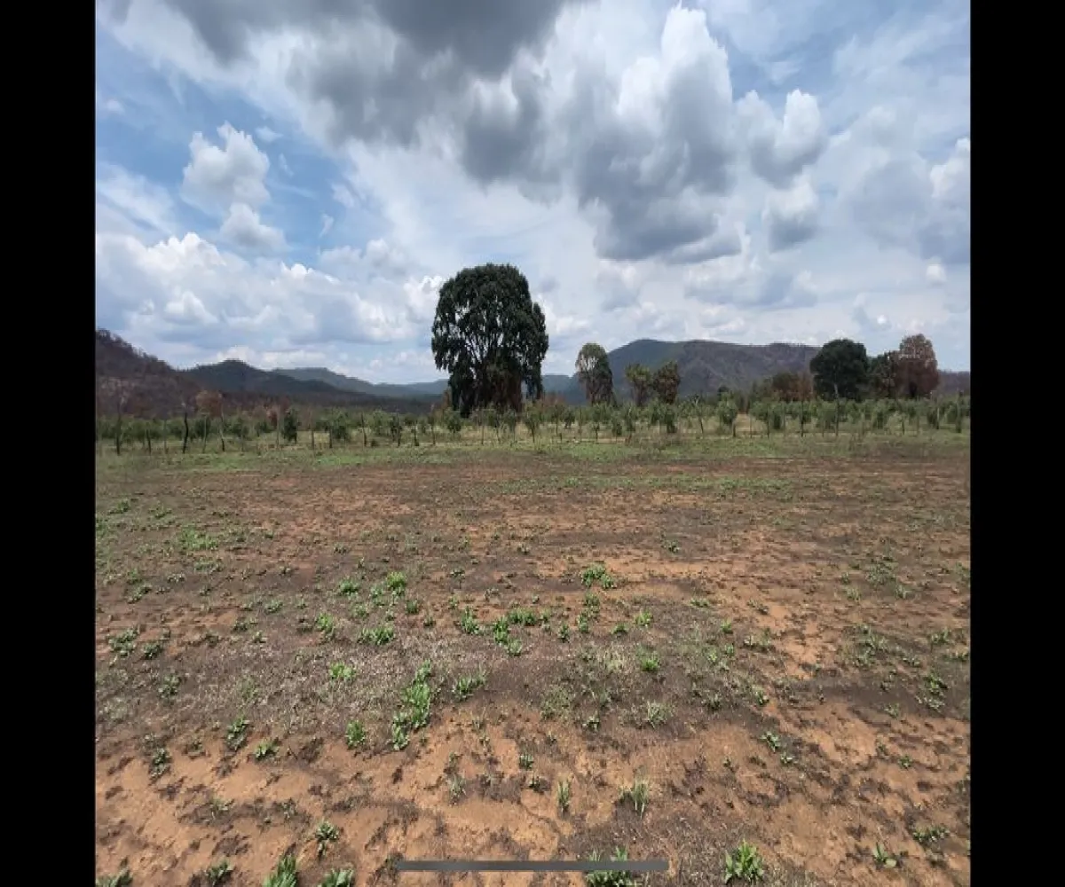 Terreno En Venta,Atenguillo,Carretera 533 31, Atenguillo, Jalisco 48100,Carretera 533 ,1,pQBLFRm