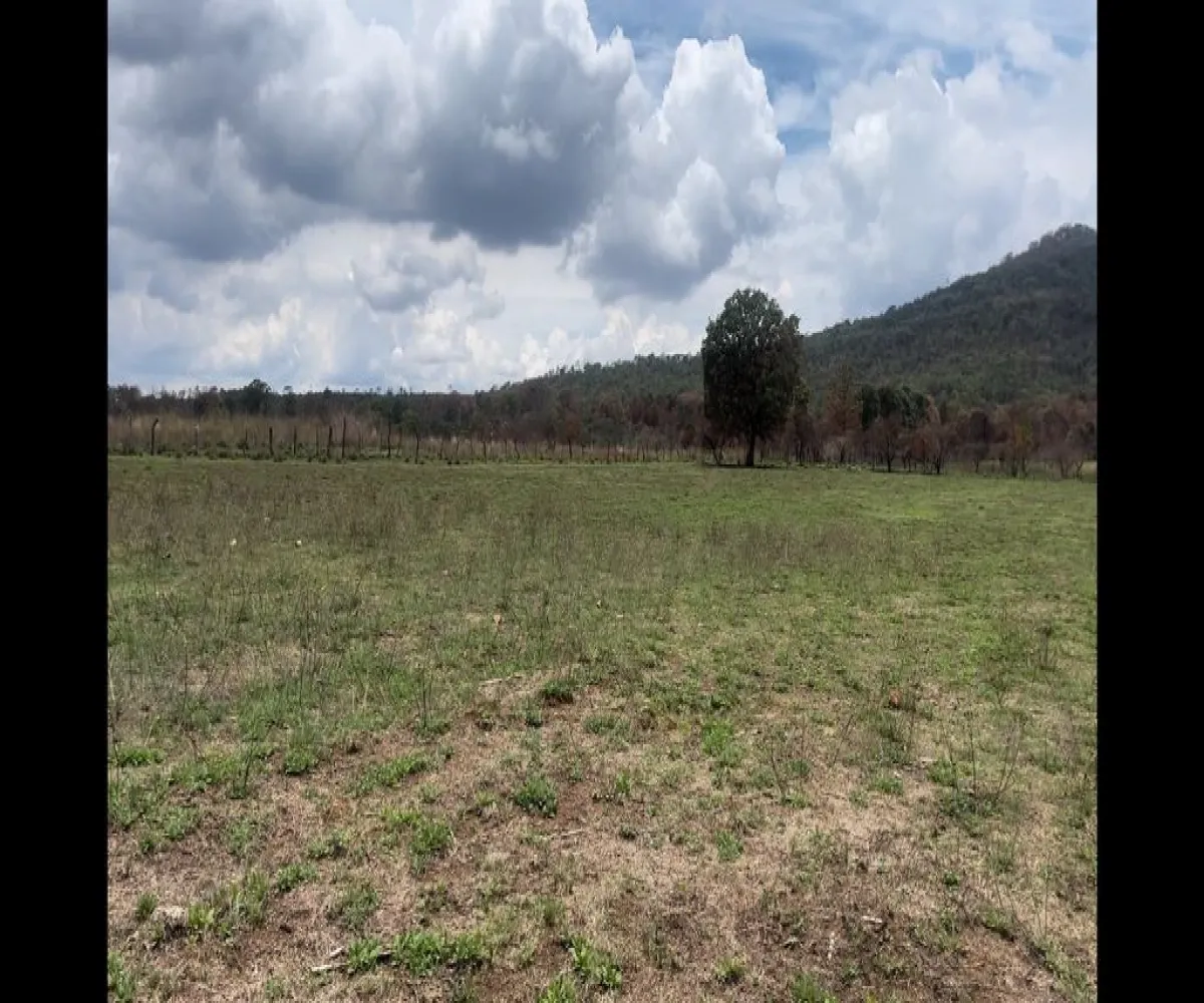 Terreno En Venta,Atenguillo,Carretera 533 31, Atenguillo, Jalisco 48100,Carretera 533 ,1,pQBLFRm