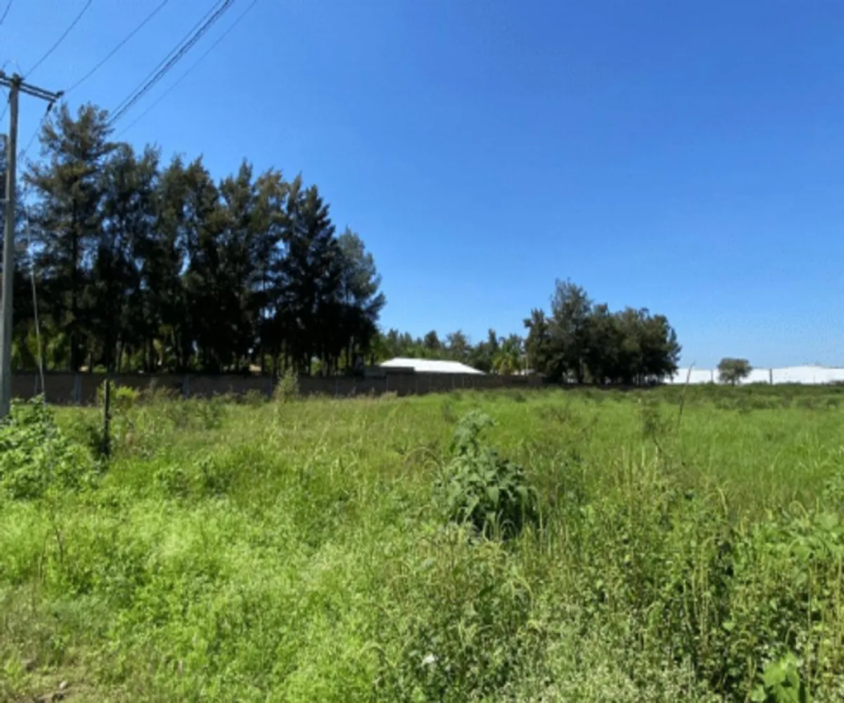 Terreno En Venta,Santa Cruz de las Flores,Valle de santa cruz S/N, Tlajomulco de Zúñiga, Jalisco 45640,Valle de santa cruz,pFOx4IX Terreno En Venta,Santa Cruz de las Flores,Valle de santa cruz S/N, Tlajomulco de Zúñiga, Jalisco 45640,Valle de santa cruz,pFOx4IX