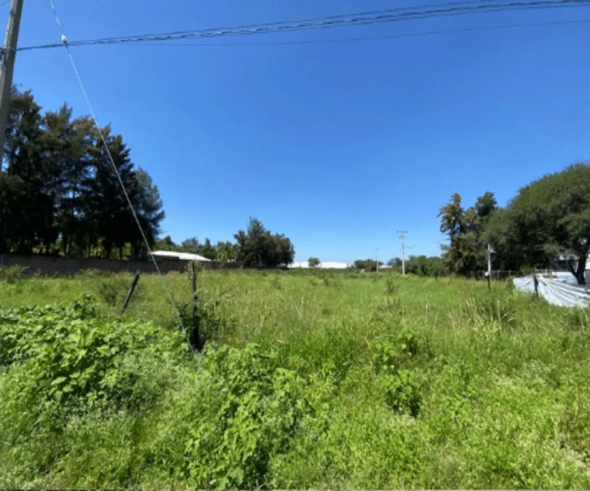 Terreno En Venta,Santa Cruz de las Flores,Valle de santa cruz S/N, Tlajomulco de Zúñiga, Jalisco 45640,Valle de santa cruz,pFOx4IX Terreno En Venta,Santa Cruz de las Flores,Valle de santa cruz S/N, Tlajomulco de Zúñiga, Jalisco 45640,Valle de santa cruz,pFOx4IX