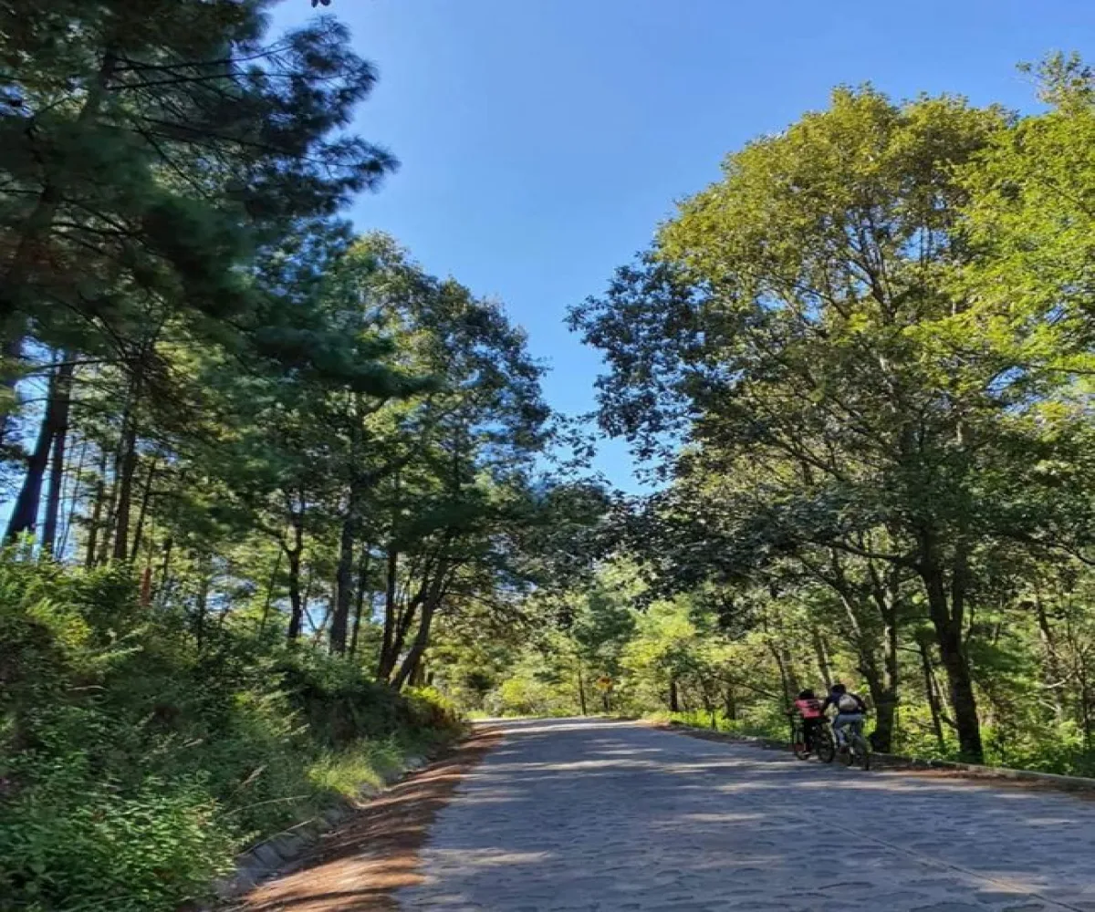 Terreno En Venta,Ojo de Agua del Mezcal,Paseo de las 4 estaciones 4, Valle de Juárez, Jalisco 49542,Paseo de las 4 estaciones ,pm0Nt80