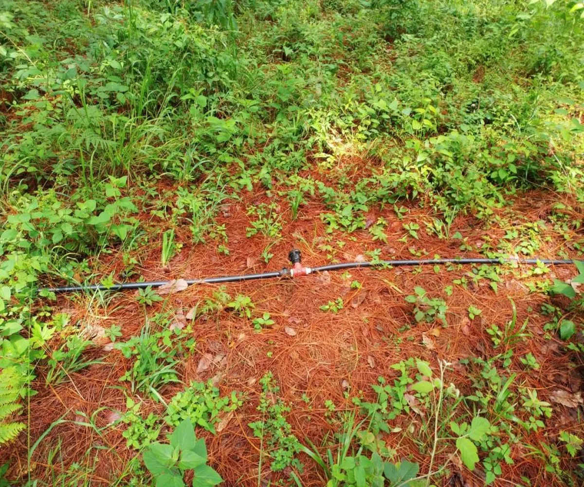 Terreno En Venta,Ojo de Agua del Mezcal,Paseo de las 4 estaciones 4, Valle de Juárez, Jalisco 49542,Paseo de las 4 estaciones ,pm0Nt80