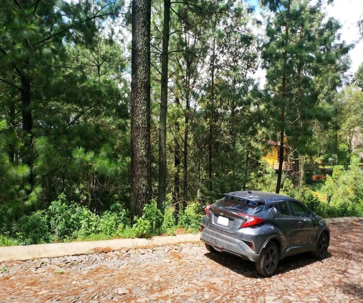 Terreno En Venta,Ojo de Agua del Mezcal,Paseo de las 4 estaciones 4, Valle de Juárez, Jalisco 49542,Paseo de las 4 estaciones ,pm0Nt80