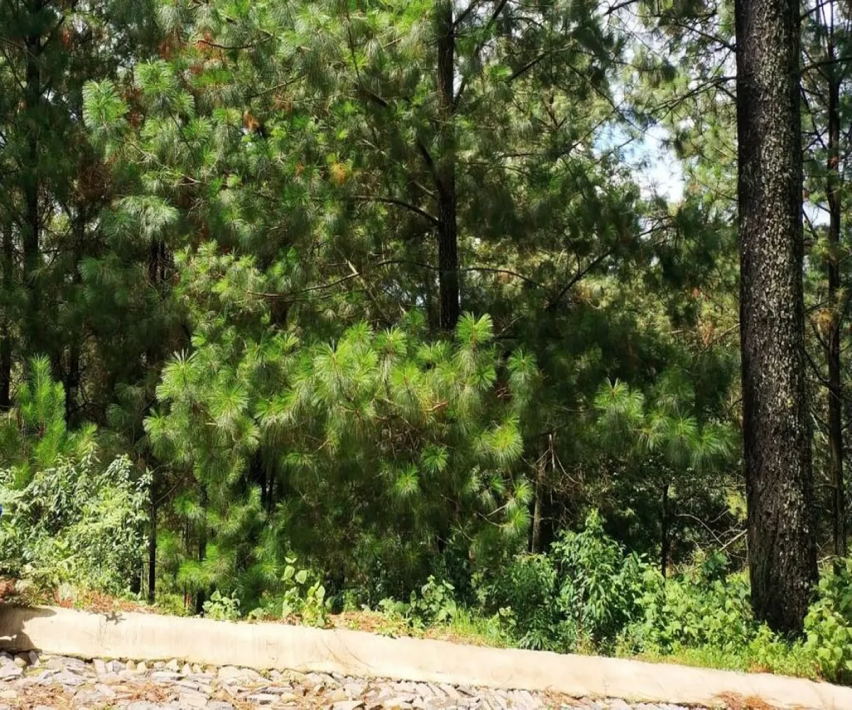 Terreno En Venta,Ojo de Agua del Mezcal,Paseo de las 4 estaciones 4, Valle de Juárez, Jalisco 49542,Paseo de las 4 estaciones ,pm0Nt80