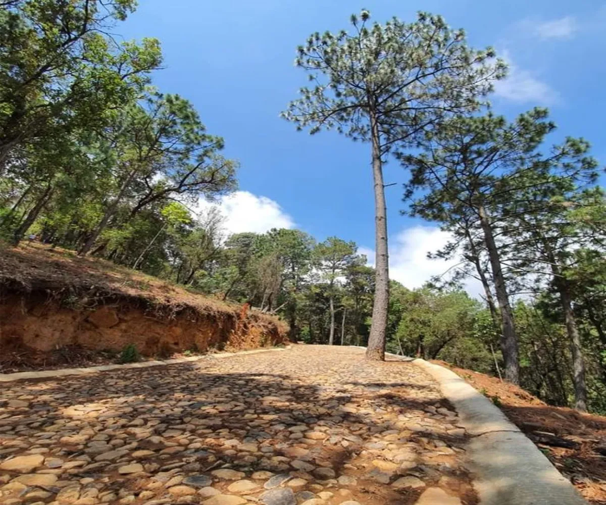 Terreno En Venta,Ojo de Agua del Mezcal,Paseo de las 4 estaciones 4, Valle de Juárez, Jalisco 49542,Paseo de las 4 estaciones ,pm0Nt80