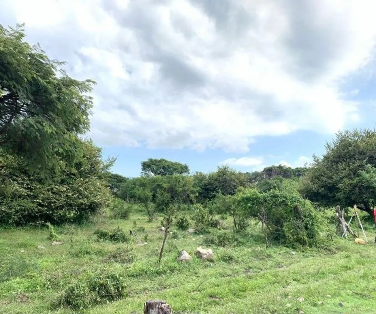 Terreno En Venta,GALAPAGOS,LOS GALAPAGOS S/N, Poncitlán, Jalisco 45975,LOS GALAPAGOS,pZDOV5w