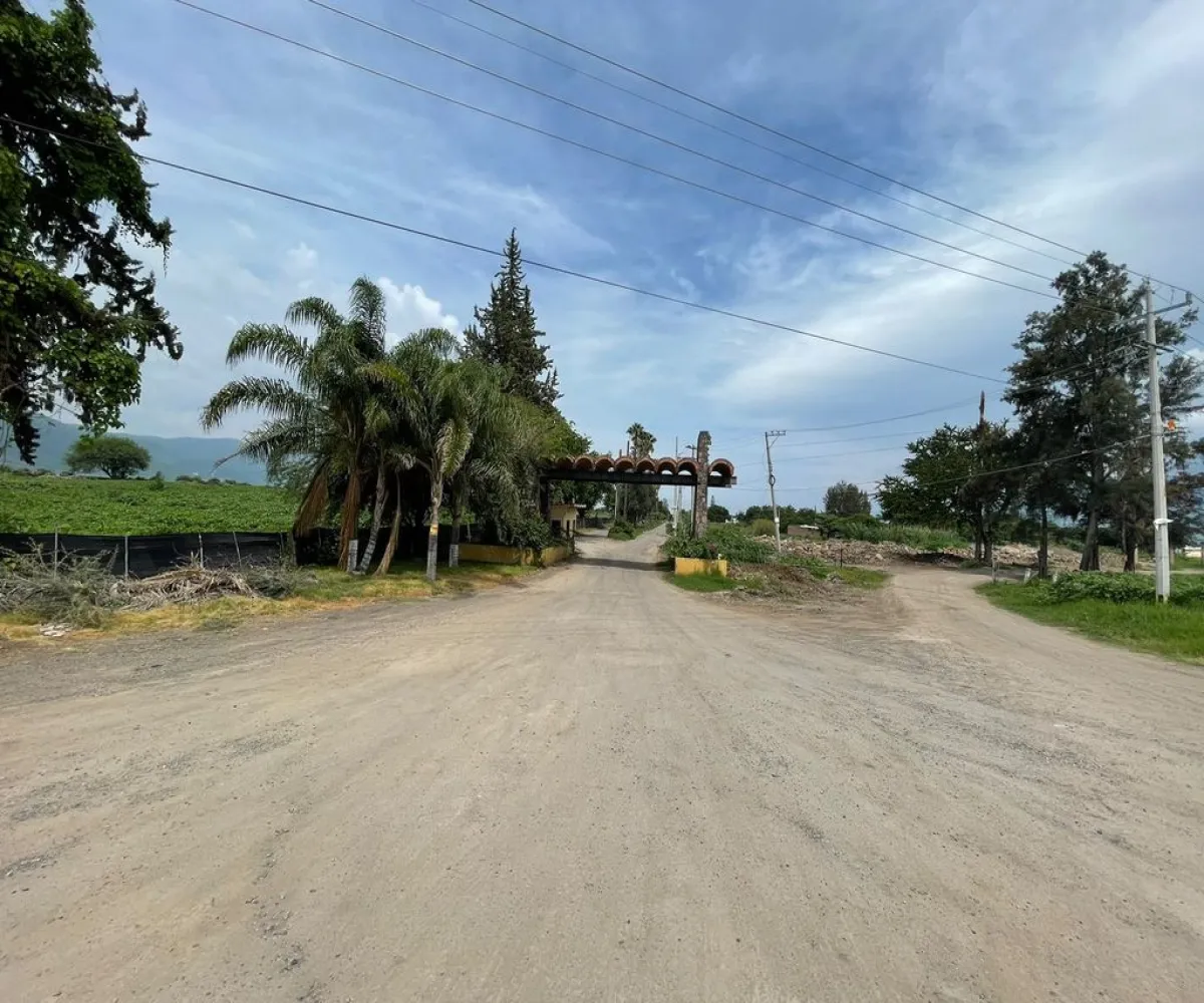 Terreno En Venta,Jocotepec Centro,Avenida de la Carpa, Roca Azul, Jocotepec Lote 246 Sección 1, Jocotepec, Jalisco 45834,Avenida de la Carpa, Roca Azul, Jocotepec,p2Q7UKj