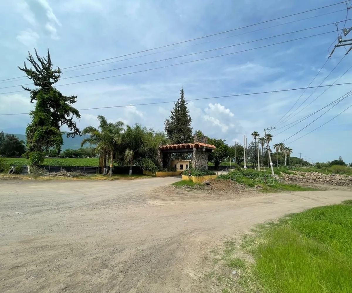 Terreno En Venta,Jocotepec Centro,Avenida de la Carpa, Roca Azul, Jocotepec Lote 246 Sección 1, Jocotepec, Jalisco 45834,Avenida de la Carpa, Roca Azul, Jocotepec,p2Q7UKj