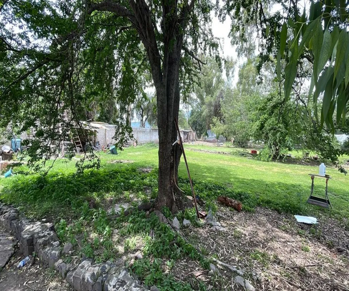 Terreno En Venta,Jocotepec Centro,Avenida de la Carpa, Roca Azul, Jocotepec Lote 246 Sección 1, Jocotepec, Jalisco 45834,Avenida de la Carpa, Roca Azul, Jocotepec,p2Q7UKj