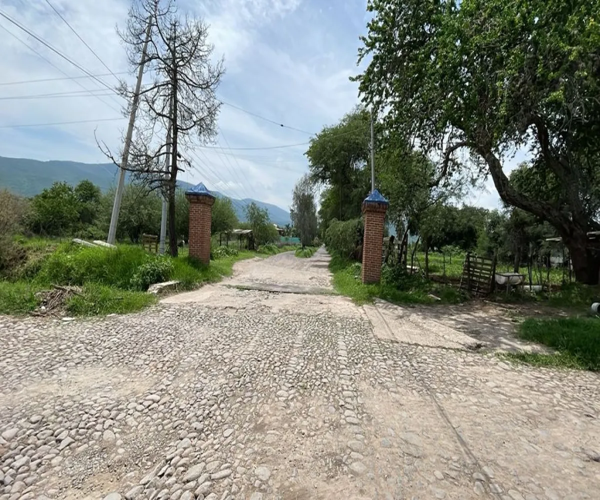 Terreno En Venta,Jocotepec Centro,Avenida de la Carpa, Roca Azul, Jocotepec Lote 246 Sección 1, Jocotepec, Jalisco 45834,Avenida de la Carpa, Roca Azul, Jocotepec,p2Q7UKj
