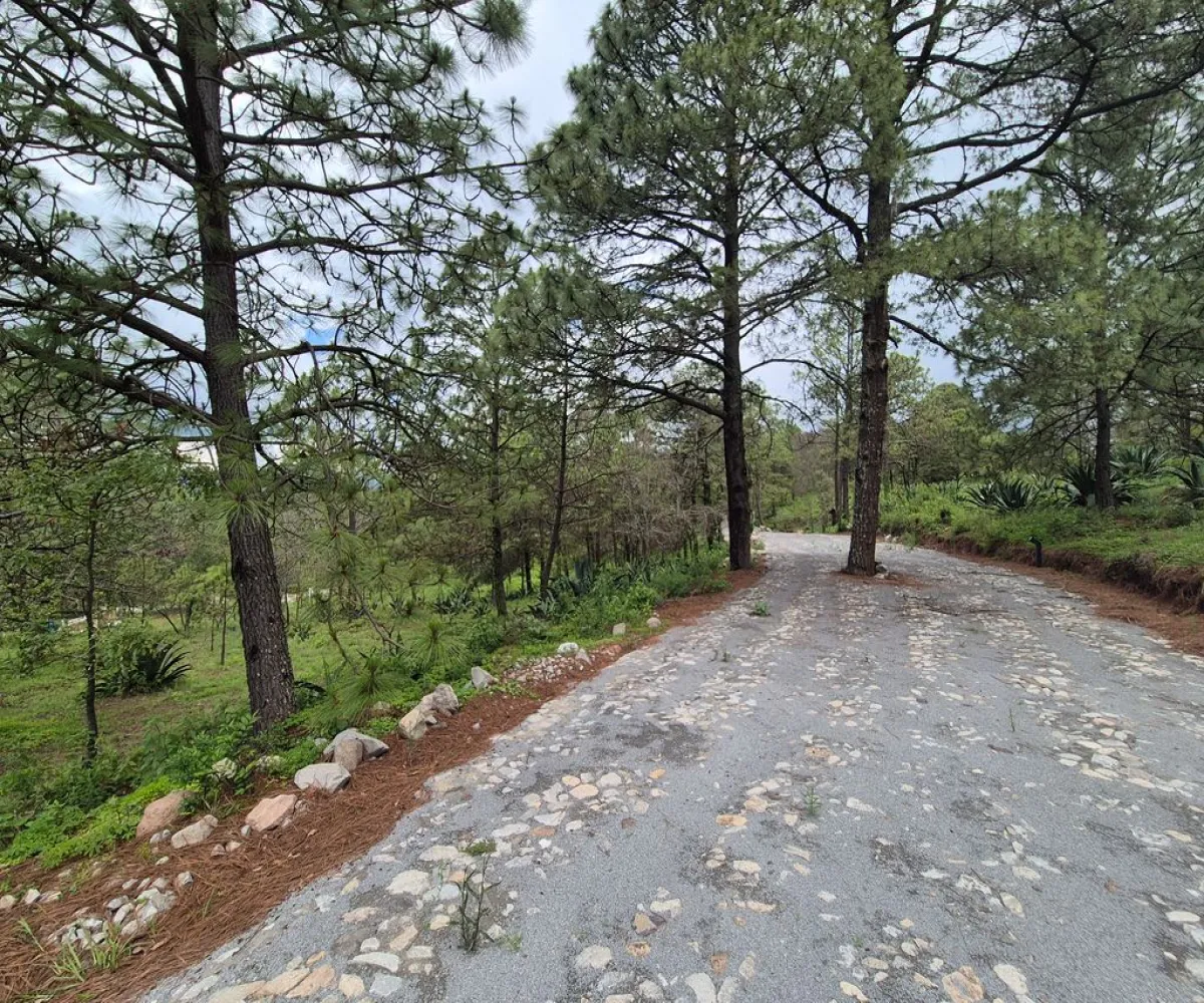 Terreno En Venta,Cuenca Luna,camino a san agustin km 0.8 S/N, Tapalpa, Jalisco 49340,camino a san agustin km 0.8,pKzlgIQ