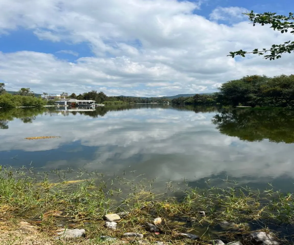 Terreno En Venta,San Nicolas De Ibarra,carretera chapala - san nicolas km 4.5 S/N, Chapala, Jalisco 45900,carretera chapala - san nicolas km 4.5,pIWUo3P Terreno En Venta,San Nicolas De Ibarra,carretera chapala - san nicolas km 4.5 S/N, Chapala, Jalisco 45900,carretera chapala - san nicolas km 4.5,pIWUo3P