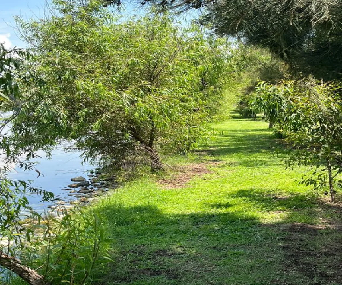 Terreno En Venta,San Nicolas De Ibarra,carretera chapala - san nicolas km 4.5 S/N, Chapala, Jalisco 45900,carretera chapala - san nicolas km 4.5,pOxbmmg