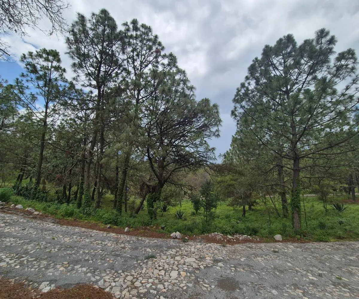 Terreno En Venta,Cuenca Luna,camino a san agustin km 0.8 0, Tapalpa, Jalisco 49340,camino a san agustin km 0.8,pMXG4r1 Terreno En Venta,Cuenca Luna,camino a san agustin km 0.8 0, Tapalpa, Jalisco 49340,camino a san agustin km 0.8,pMXG4r1