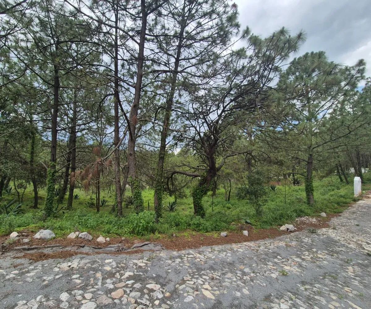 Terreno En Venta,Cuenca Luna,camino a san agustin km 0.8 0, Tapalpa, Jalisco 49340,camino a san agustin km 0.8,pMXG4r1 Terreno En Venta,Cuenca Luna,camino a san agustin km 0.8 0, Tapalpa, Jalisco 49340,camino a san agustin km 0.8,pMXG4r1