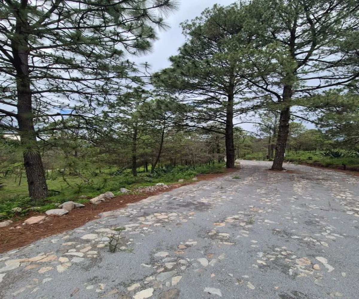 Terreno En Venta,Cuenca Luna,camino a san agustin km 0.8 0, Tapalpa, Jalisco 49340,camino a san agustin km 0.8,pMXG4r1 Terreno En Venta,Cuenca Luna,camino a san agustin km 0.8 0, Tapalpa, Jalisco 49340,camino a san agustin km 0.8,pMXG4r1