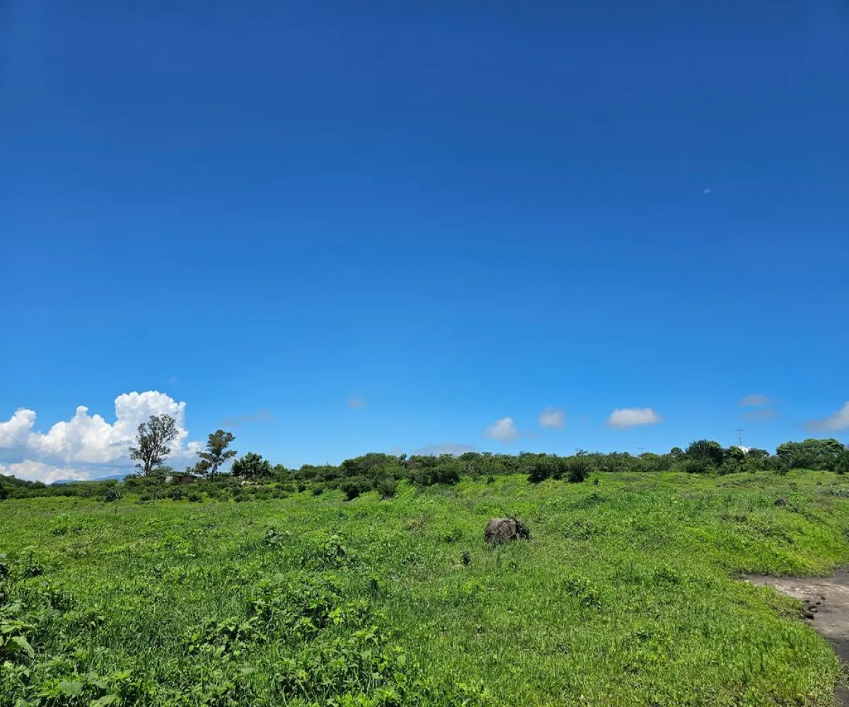 Terreno En Venta,Carretera a Palmarejo S/N, Moyahua de Estrada, Zacatecas 99998,1 Baño,Carretera a Palmarejo,1,peOyPkG